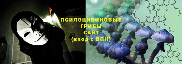2c-b Богородицк