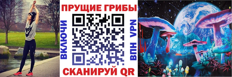 Галлюциногенные грибы Cubensis даркнет сайт Александровское